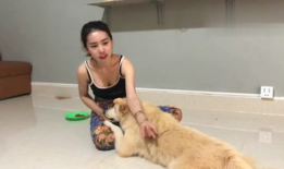 美女与狗交配视频,美女与狗的惊世交配之谜